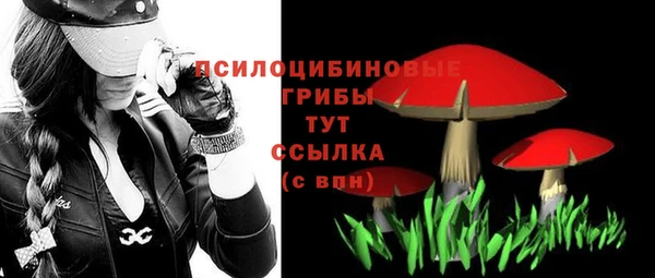 ПСИЛОЦИБИНОВЫЕ ГРИБЫ Балабаново