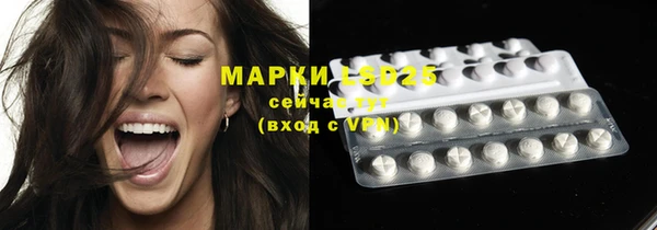 ПСИЛОЦИБИНОВЫЕ ГРИБЫ Балабаново