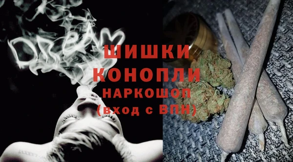 spice Тавда